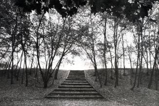 ͼ2 ������ʥԼ�����˹��԰��ֲ�ľ�������С���̬Ʈ�ݵ�����