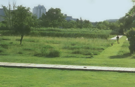 ͼ14���յǳ��л�԰