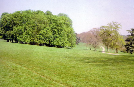 ͼ7Ӣ����Ȼ�羰԰���ֵ���Ұ����