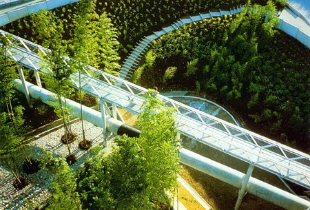 ͼ13������ά���ع�԰�е���԰