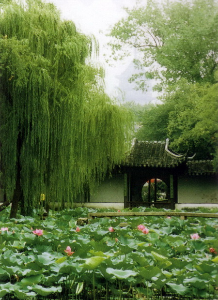 ͼ15����׾��԰�豱����֮��