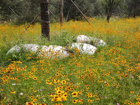 ͼ7�Ľ������ֲݻ��ر�����