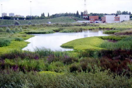 ͼ1������԰�����󾰹�