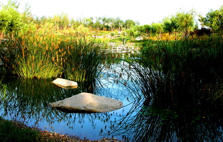 ͼ4�������ӹ�԰�е�ˮ������