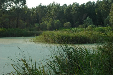 ͼ7�ػʵ���������ɭ�ֹ�԰ʪ�ؾ���