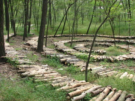 ͼ10�ػʵ���������ɭ�ֹ�԰�еĿ�ľ����