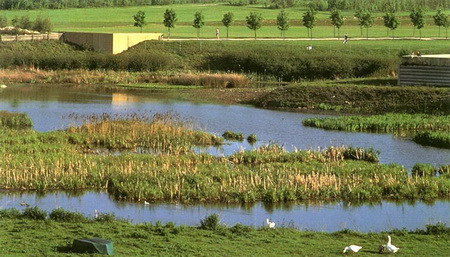 ͼ12 ������԰����й���Ӫ�������󾰹�