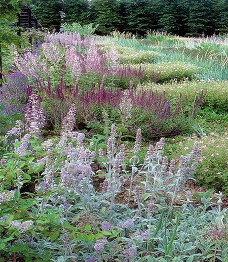 ͼ14����ѩ������԰�еġ���̬��԰��