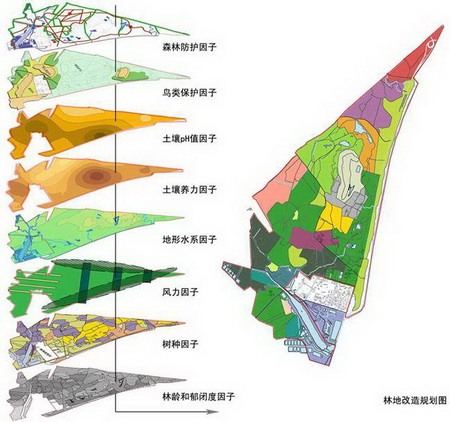 ͼ7 �ػʵ���������ɭ�ֹ�԰�滮���