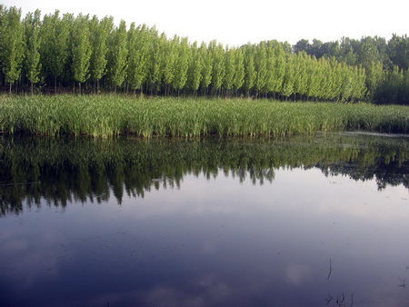 ͼ15�ػʵ���������ɭ�ֹ�԰һ�ڽ���ʵ��