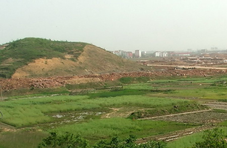 ͼ11����վǰ��԰������״�����л����̵���ˮ����ʧ