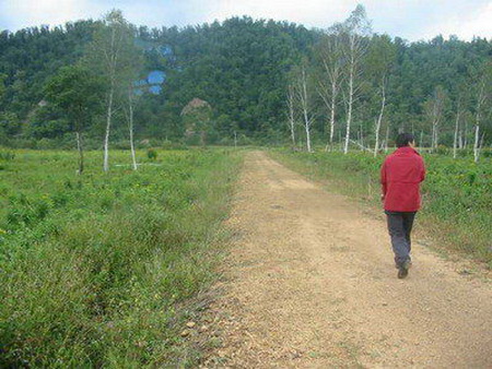 ͼ14���ƻ���ʪ��