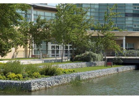 ͼ5��У԰ˮ��