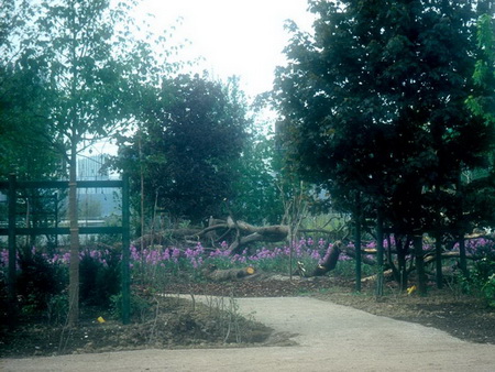 ͼ14����ľ����