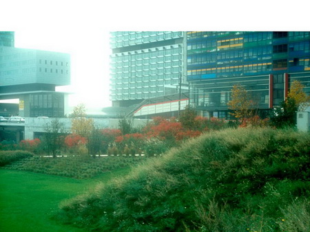 ͼ15����԰�ܱ��˹�������Ȼ��ɫ