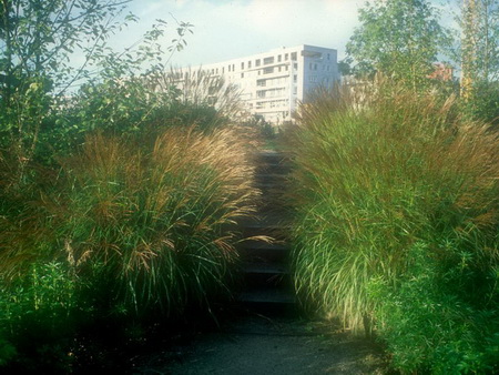 ͼ16����԰�ܱ��˹�������Ȼ��ɫ