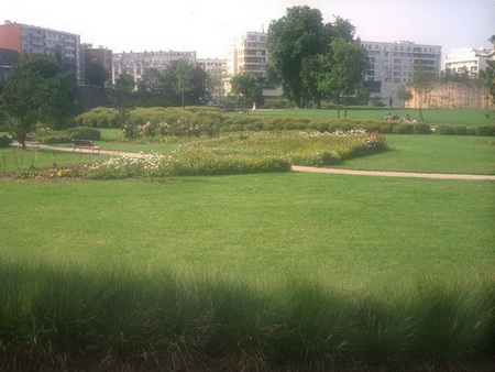 ͼ17�������ֲݵ�Ϊ���Ļ�ռ�