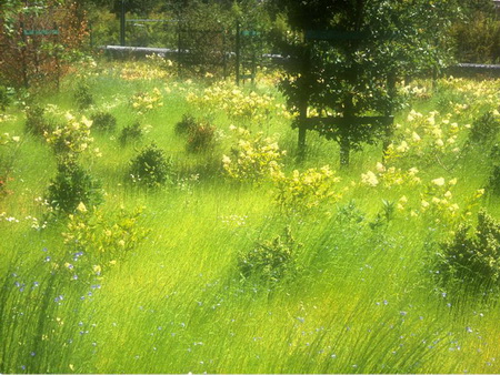 ͼ18���˹�����׺���ݵ�