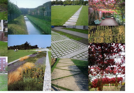 ͼ30�������ռ��Ӫ��