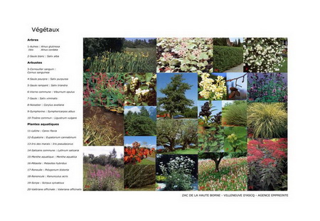 ͼ31���ḻ��ֲ������