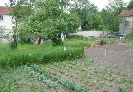 ͼ39�������˽���˽�һ�԰