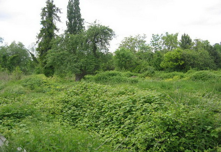 ͼ40�������Ļ�ռ�