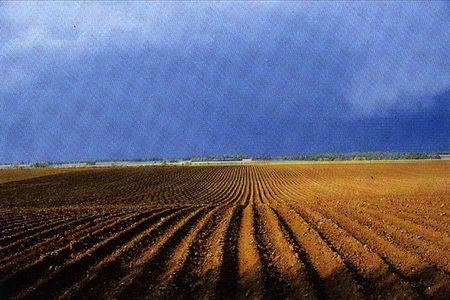 ͼ1��������������뵺�羰���շ�����������