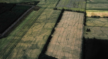 ͼ2��ʷǰ��ɽ�����������µĺۼ�