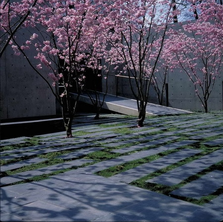 ͼ6��λ��ǰͥ�뽨��֮���ƽ̨��԰