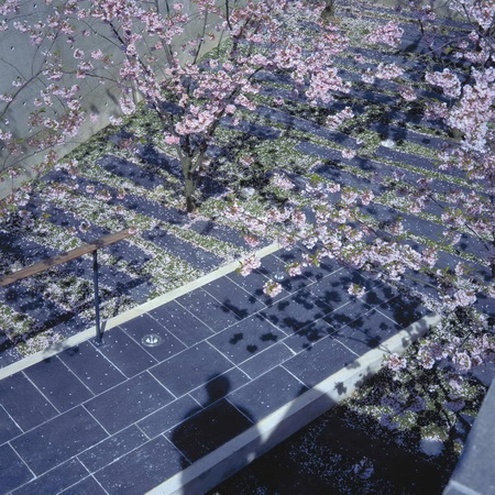 ͼ7��ͥԺ����ֲ��ӣ��