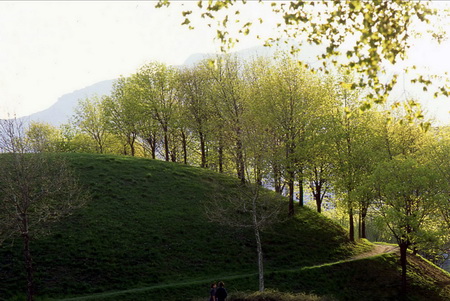 ͼ3��ֲ����Сɽ����������ò