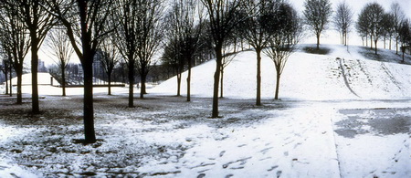 ͼ4����԰����