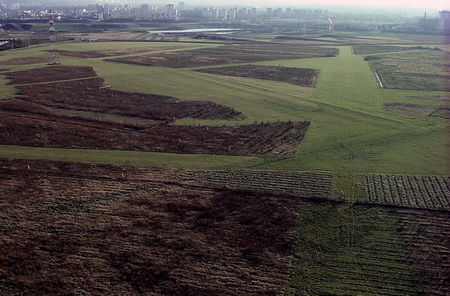 ͼ9����һ����ֲ��30����������ͼ