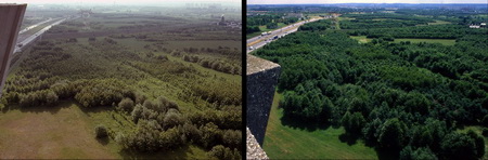 ͼ11�����15�꣬��԰��ò���˺ܴ�ĸĽ�