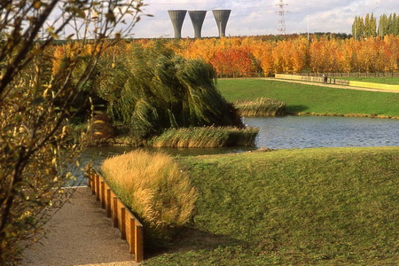 ͼ18����԰�ڵ���ľ