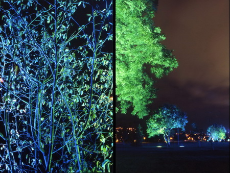 ͼ34����԰ҹ��