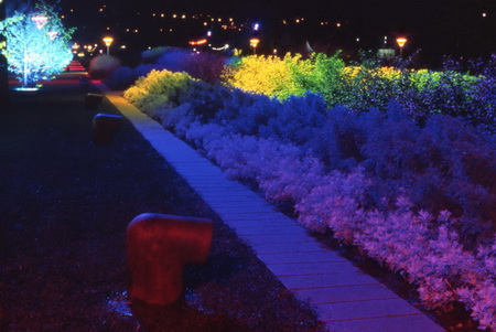 ͼ35����԰ҹ��