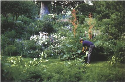 ͼ3����������âӪ������Ʒ����̬��԰��