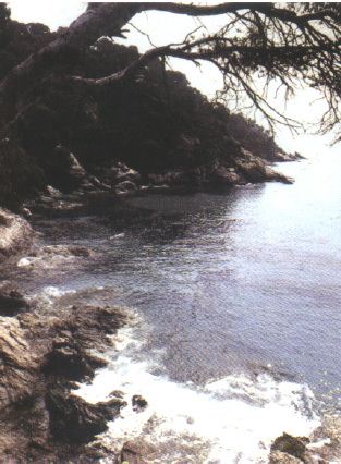 ͼ9���ȶ����õĵ���λ��