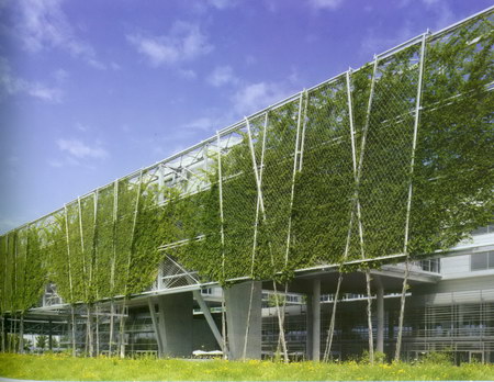 ͼ12 ������԰����й���Ӫ�������󾰹�