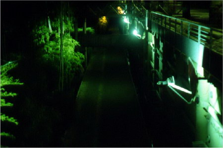 ͼ12 ������԰����й���Ӫ�������󾰹�