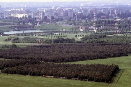 ͼ12 ������԰����й���Ӫ�������󾰹�