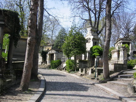 ͼ12 ������԰����й���Ӫ�������󾰹�