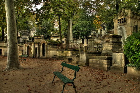 ͼ12 ������԰����й���Ӫ�������󾰹�