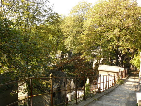 ͼ12 ������԰����й���Ӫ�������󾰹�